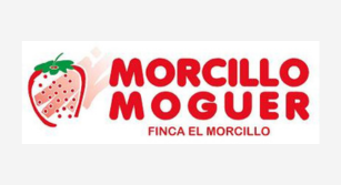 LOGO MORCILLO MOGUER