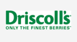 LOGO DRISCOLL'S